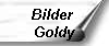 Bilder 
Goldy