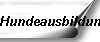 Hundeausbildung
