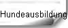 Hundeausbildung
